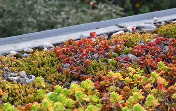 the cost of Talyllyn green roof installation