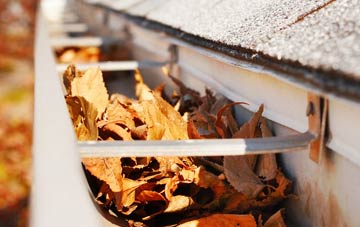 Talyllyn gutter cleaning companies