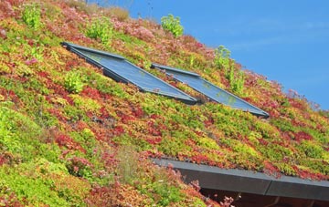 Talyllyn living roof systems